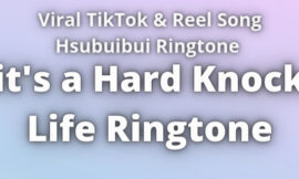 it’s a Hard Knock Life Ringtone Download