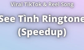 See Tình Ringtone Download