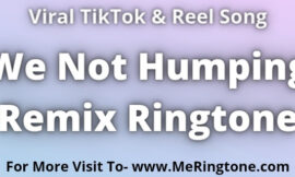 We Not Humping Remix Ringtone Download