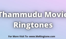 Thammudu Movie Ringtones Download