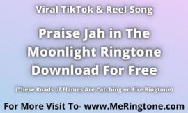 Praise Jah in the Moonlight Ringtone Download For Free